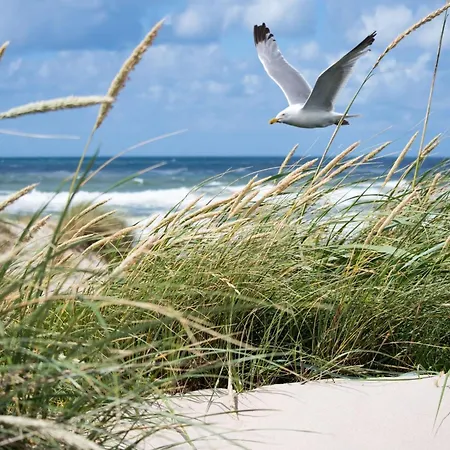 In Seaside Bliss * Knokke-Heist