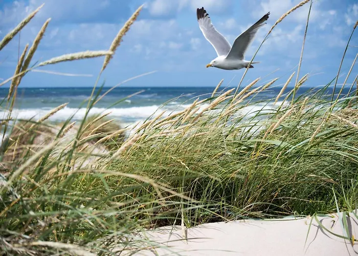 In Seaside Bliss * Knokke-Heist